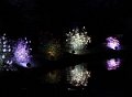 Ilumina_2014   043
